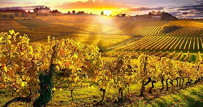 Gæstehus Les De Beauviel Saint-Jean-dʼEyraud